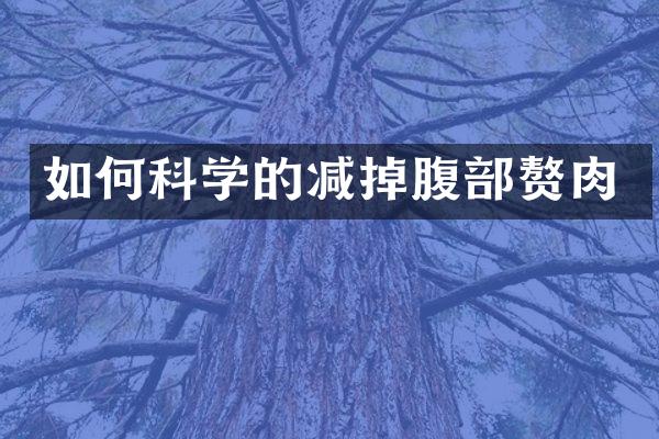 如何科学的减掉腹部赘肉