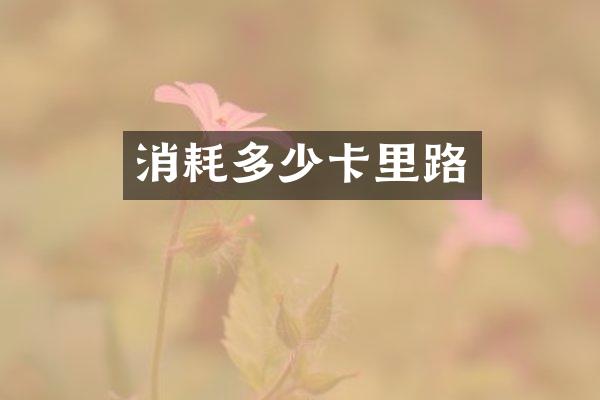 消耗多少卡里路