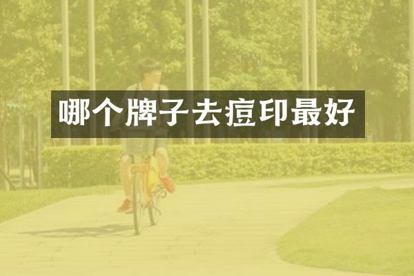 哪个牌子去痘印最好