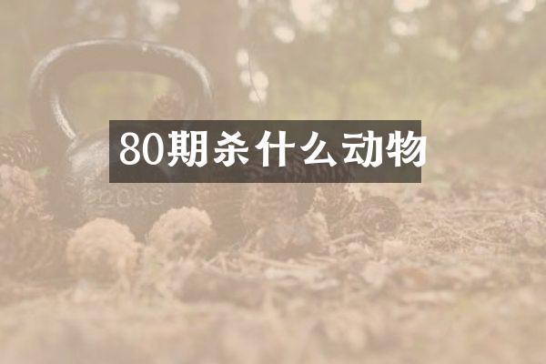 80期杀什么动物