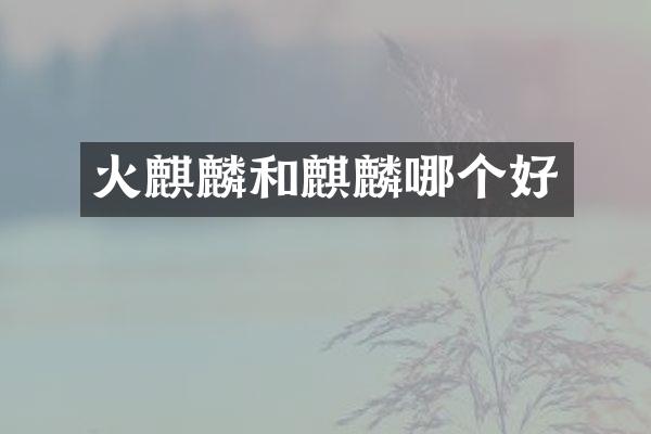火麒麟和麒麟哪个好