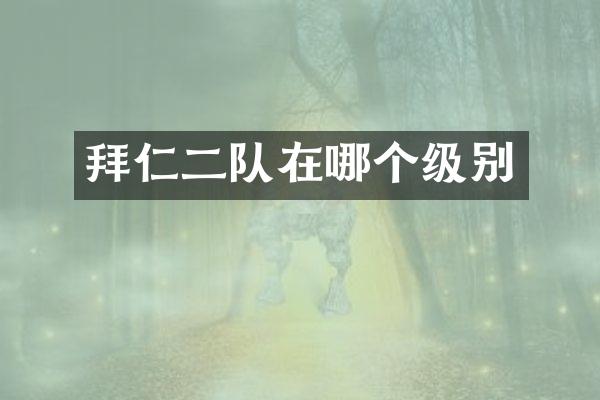 拜仁二队在哪个级别