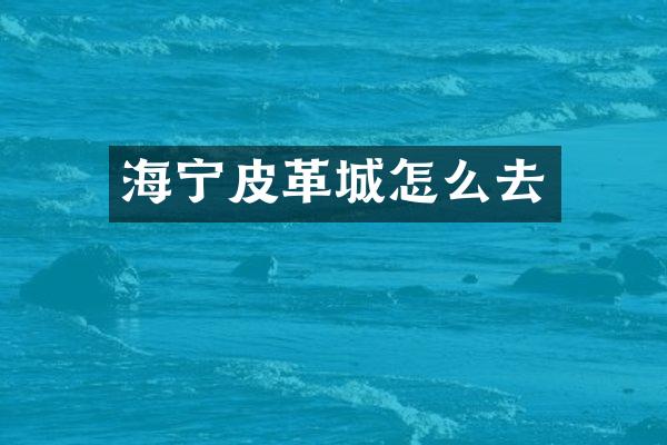 海宁皮革城怎么去