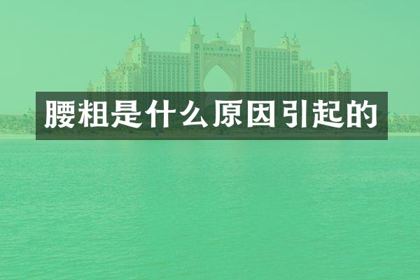 腰粗是什么原因引起的