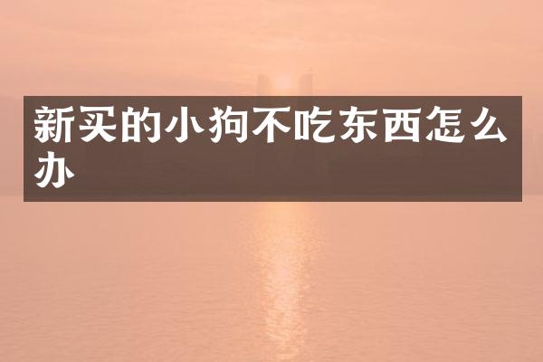 新买的小狗不吃东西怎么办