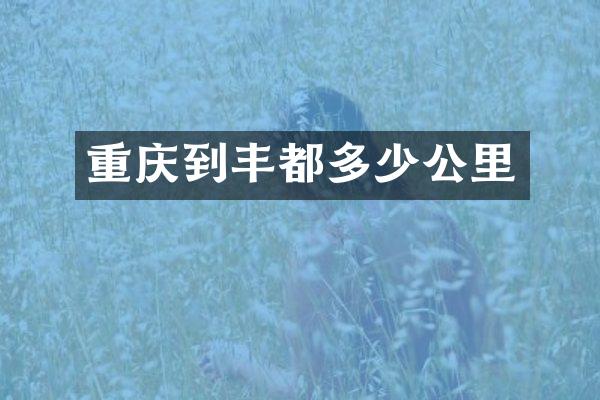 重庆到丰都多少公里
