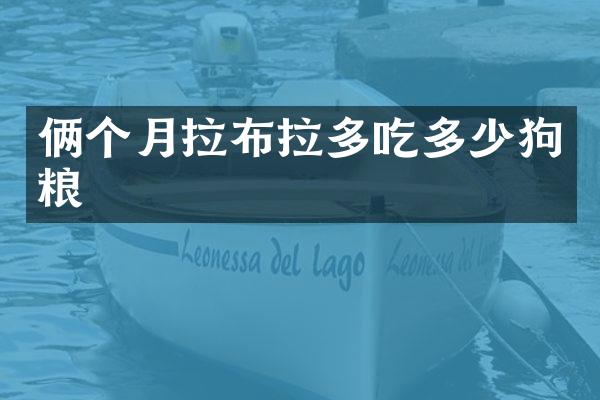 俩个月拉布拉多吃多少