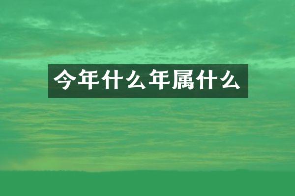 今年什么年