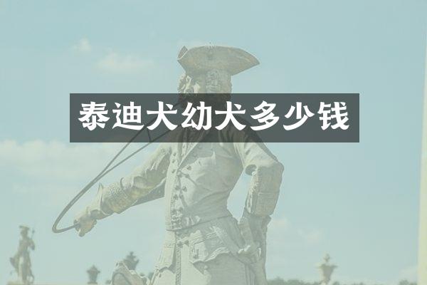 泰迪犬幼犬多少钱