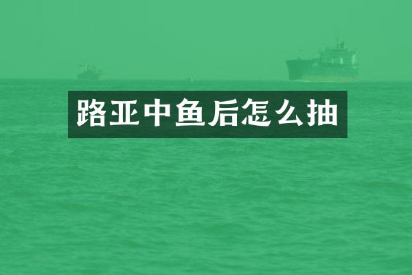 路亚中鱼后怎么抽