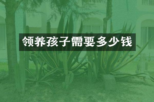 领养孩子需要多少钱