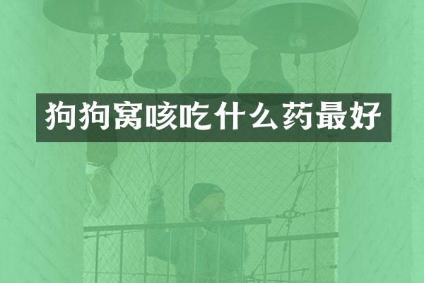 狗狗窝咳吃什么药最好