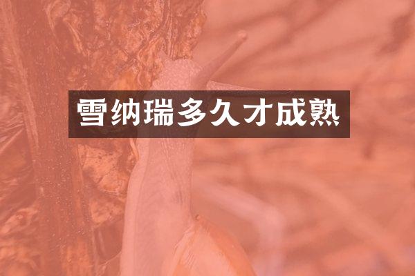 雪纳瑞多久才成熟