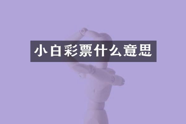 小白彩票什么意思