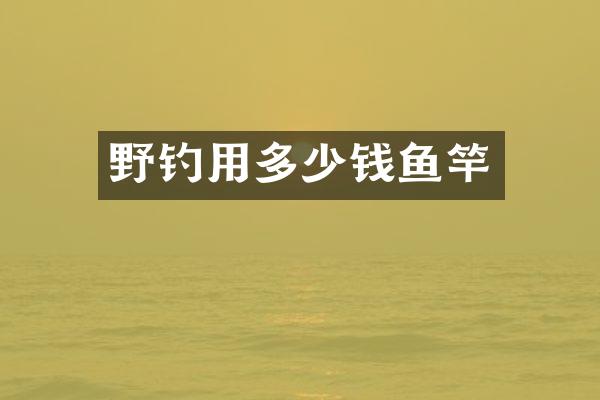 野钓用多少钱鱼竿