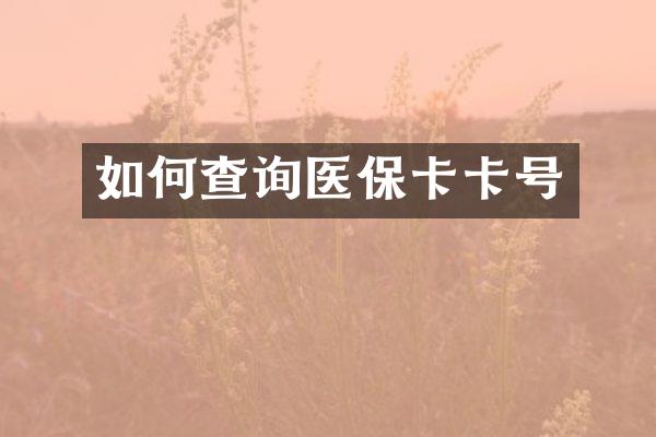 如何查询医保卡卡号