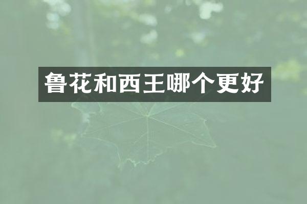 鲁花和西王哪个更好