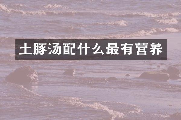 土豚汤最有营养