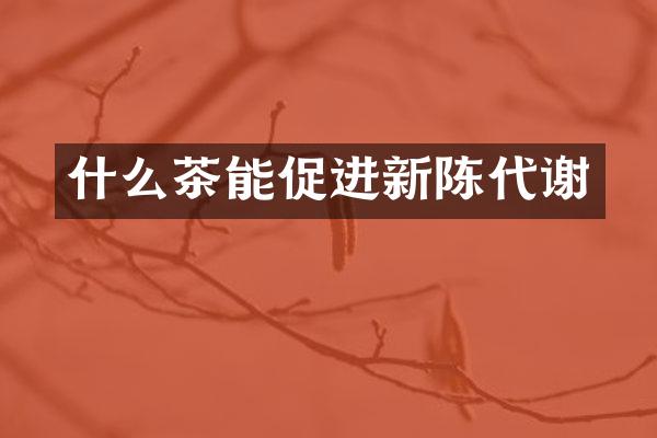 什么茶能促进新陈代谢