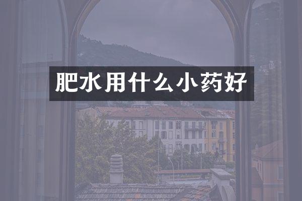 肥水用什么小药好