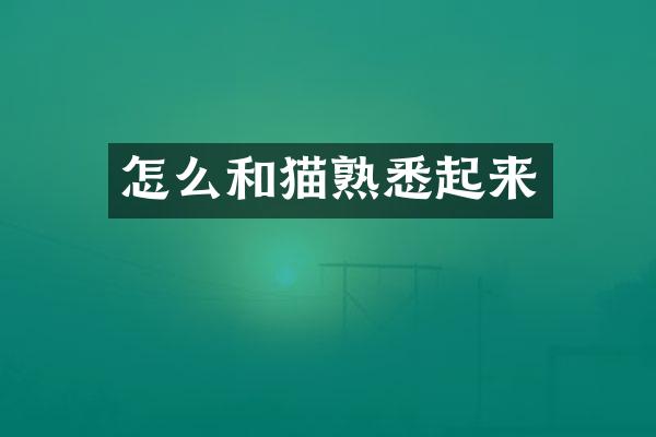 怎么和猫熟悉起来