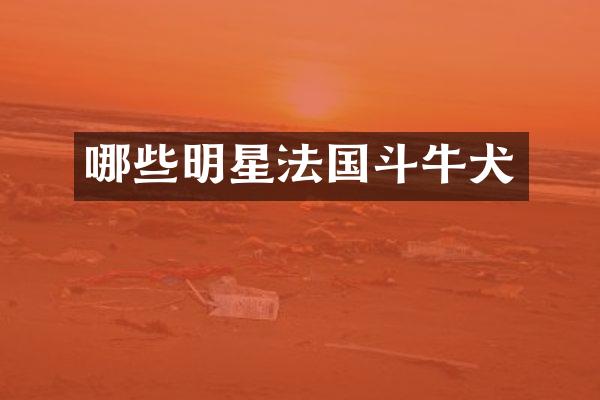 哪些明星法国斗牛犬