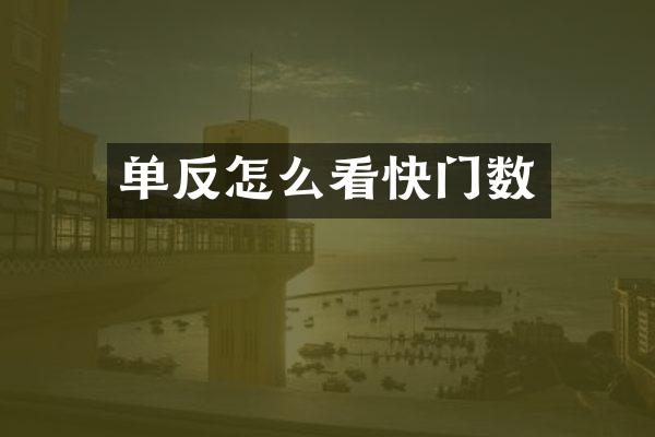 单反怎么看快门数