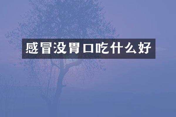 感冒没胃口吃什么好