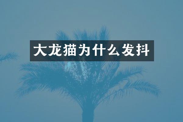 大龙猫为什么发抖