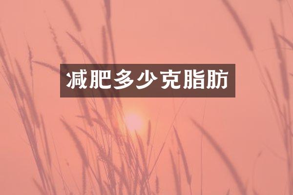 减肥多少克脂肪