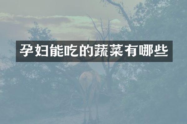 孕妇能吃的蔬菜有哪些