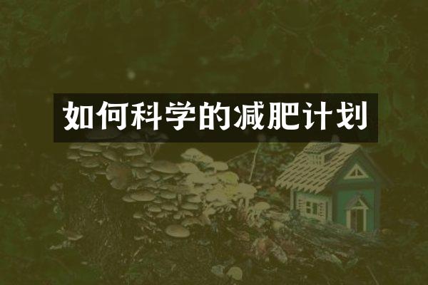 如何科学的减肥计划