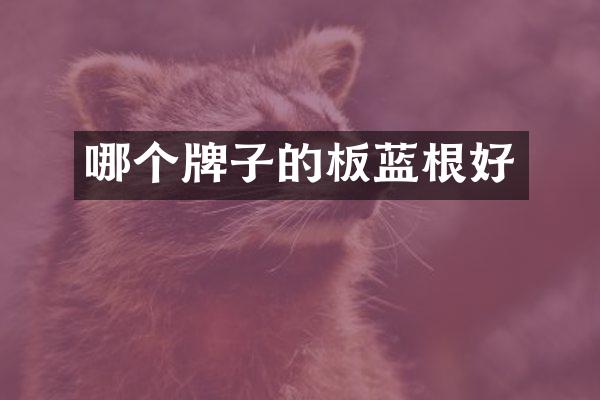 哪个牌子的板蓝根好