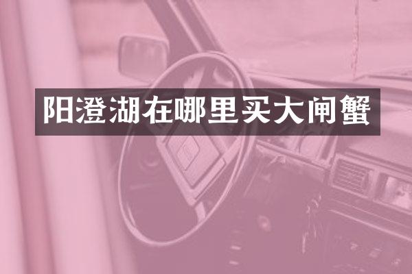 阳澄湖在哪里买大闸蟹