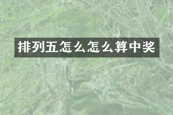 排列五怎么怎么算中奖