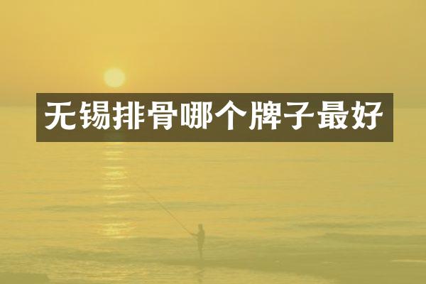 无锡排骨哪个牌子最好
