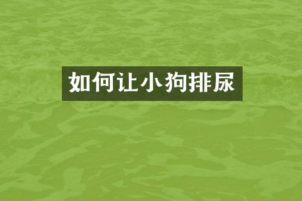 如何让小狗排尿