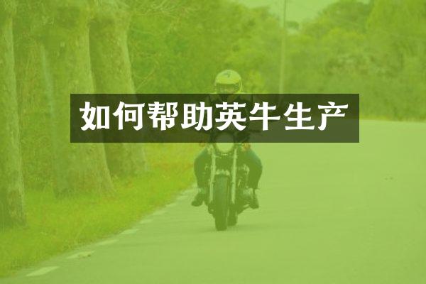 如何帮助英牛生产