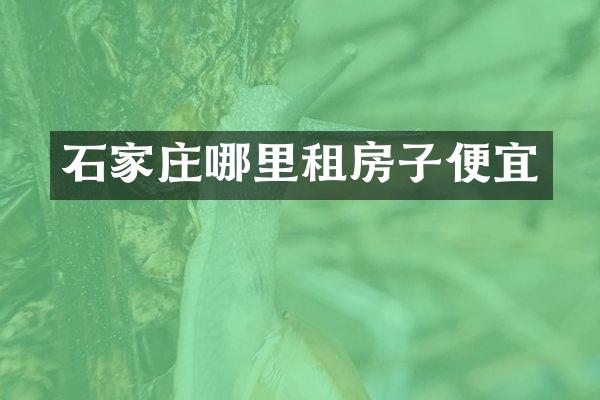 石家庄哪里租房子便宜