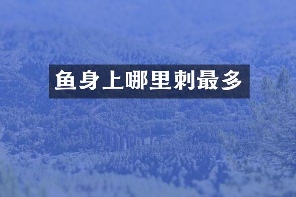 鱼身上哪里刺最多