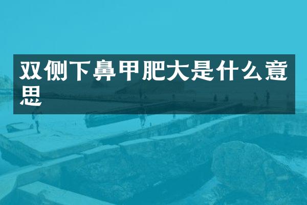 双侧下鼻甲肥大是什么意思