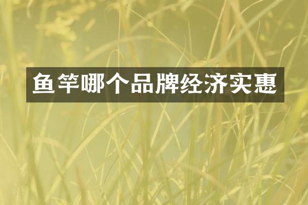 鱼竿哪个品牌经济实惠