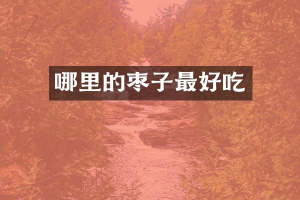 哪里的枣子最好吃