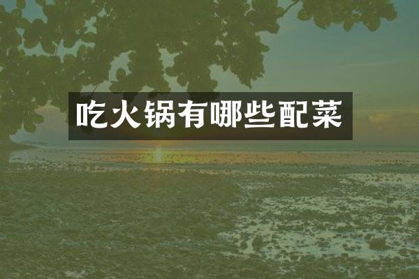 吃火锅有哪些配菜