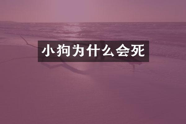 小狗为什么会死