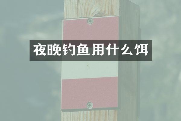 夜晚钓鱼用什么饵