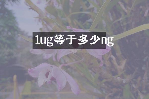 1ug等于多少ng
