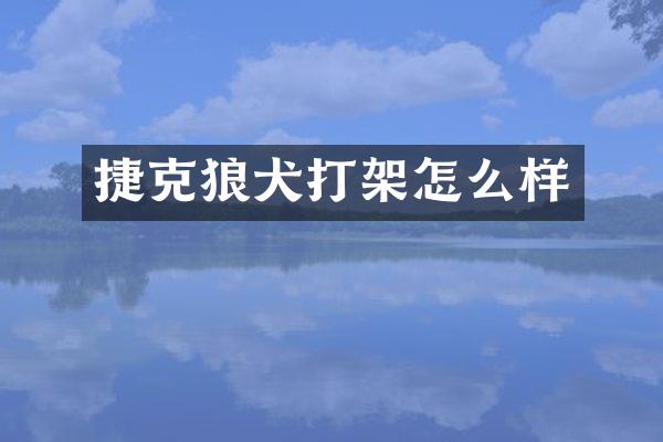 捷克狼犬打架怎么样