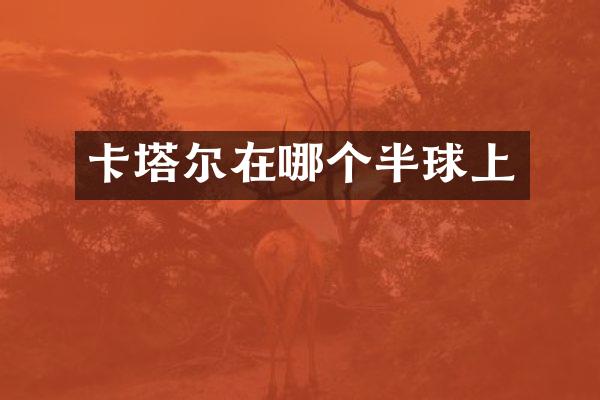 卡塔尔在哪个半球上