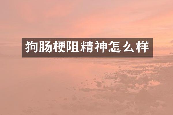 狗肠梗阻精神怎么样